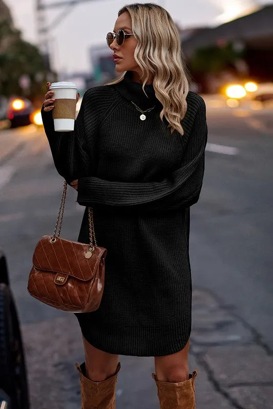 Chunky Turtleneck Sweater Dress II