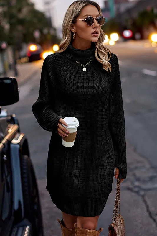 Chunky Turtleneck Sweater Dress II