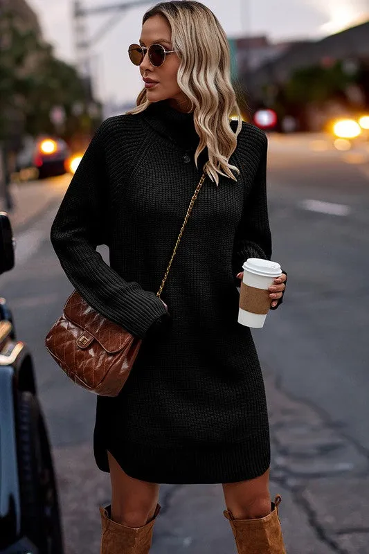 Chunky Turtleneck Sweater Dress II