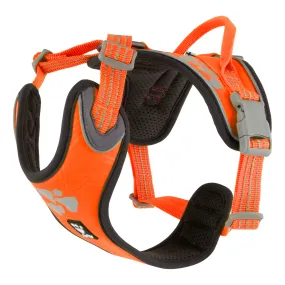 Hurtta Weekend Warrior Harness 100-120 Cm Neon Orange | Buy Hurtta Weekend Warrior Harness 100-120 Cm Neon Orange here | Outnorth