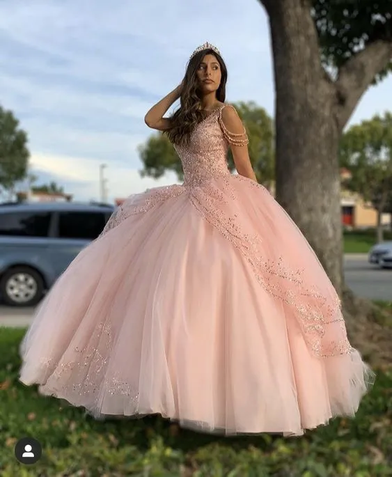 Pink Princess Ball Gown Quinceańera Dress Sweet 16 Dress   fg1014