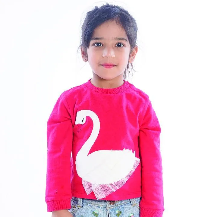 Winter Sweatshirt Combo - Swan, Pom Pom and Kitty